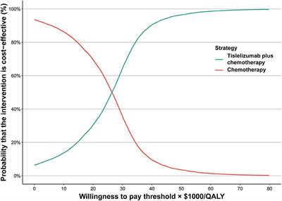 Tislelizumab plus chemotherapy is more cost-effective than chemotherapy alone as first-line therapy for advanced non-squamous non-small cell lung cancer